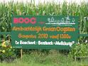 BOOC-Oogstdag, Boechout 8 augustus
